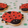 LADYBUG COOKIE CUTTER - Image 2